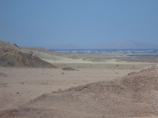 desert