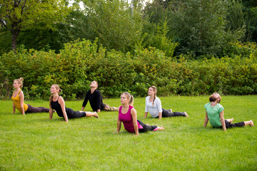 Naklejka na ściany i meble A group of yogis on the lawn in a dog standing face up