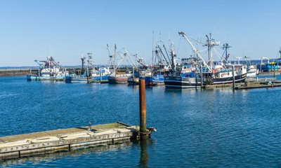 Fototapeta premium Westport Fishing Boats_2