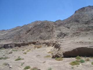 desert