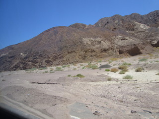 desert