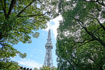 緑から垣間見える名古屋テレビ塔