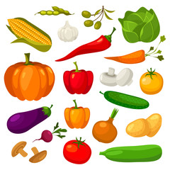 Set of vegetables, veggies, ingredients flat icons