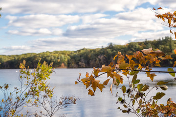 Fototapeta na wymiar A Beautiful Fall Afternoon in Massachusetts