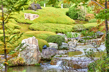 Stream with small waterfalls in japanese garden