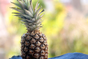 Pineapple on blue tablecloth. Selective focus, naturla green bokeh.