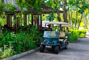 Electric golf cart at the summer luxury resort. © 22Imagesstudio