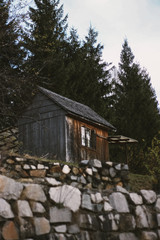 old wooden house in the forest