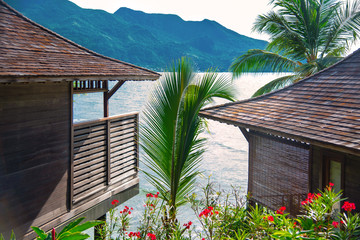 Tropical bungalows with greenery and palm trees, sea on background. Summer holiday accommodation concept. 