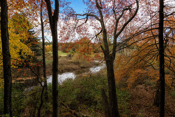 A Beautiful Fall Afternoon in Massachusetts