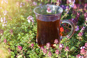 Cup of hot herbal tea in thyme herbs in summer. Turkish tea cup in summer