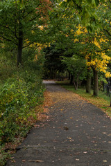 Naklejka premium A Beautiful Fall Afternoon in Massachusetts