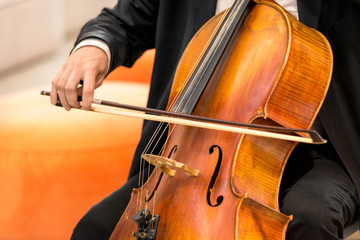 string musical instrument, viola - large violin, close up. Horizontal frame