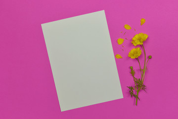 Empty blank photo paper frame with yellow flower.
