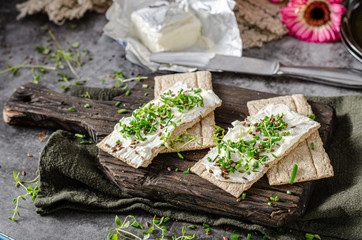 Delicious fresh cheese with herbs on crispbread