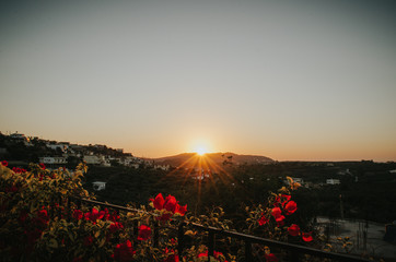 Sunset-Crete-bougainvillea