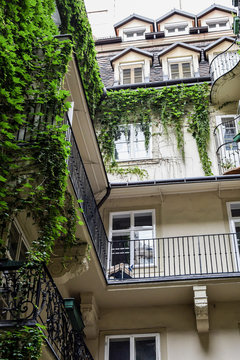 Lovely House In A Backyard In Vienna With Nice Ivy