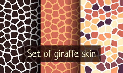 Set of pattern giraffe skin. animal trend © Olga.And.Design