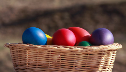 Obraz na płótnie Canvas Easter eggs colors in basket blurred background