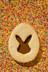 Close-up of easter cookies in the shape of an egg with a rabbit on a colorful bright background from sugar balls.