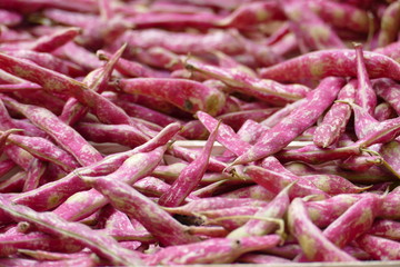 Viele Buschbohnen Borlotto rosso auf einem Haufen