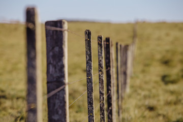 fence in field