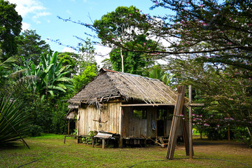 cabaña madera legna amazonia bosque selva