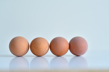chicken boiled egg on a light background