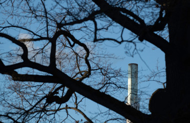 Industrieschornstein hinter Baumkronen