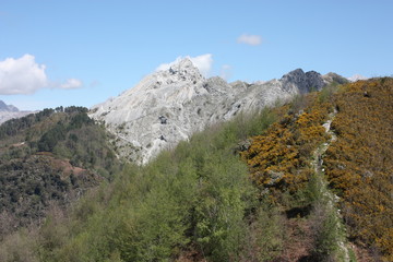 panorama in the nature in the pasquilio mountains