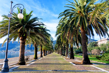  La Spezia waterfront, deserted palm alley, bright blue sky and green palm trees