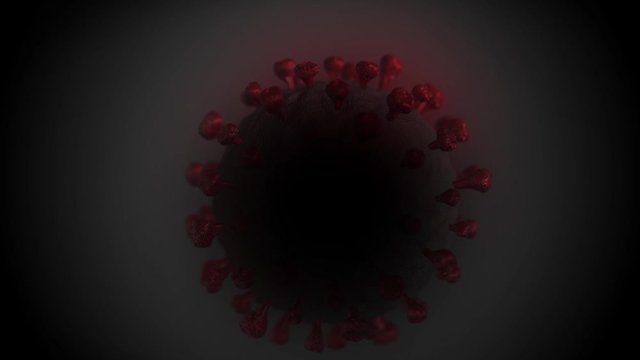 The Corona Virus SARS CoV 2 - Covid 19 disease visualization