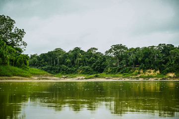 rio selva amazona naturaleza