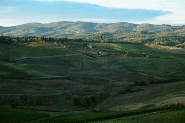 Landscape in Tuscany at sunset in summer - Tuscany, Italy, Europe