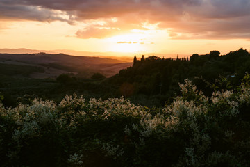Landscape in Tuscany at sunset in summer - Tuscany, Italy, Europe