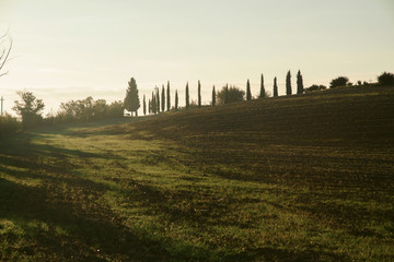 Early foggy morning on Tuscany, countryside, Italy