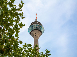 Blick durch Blätter auf den Rheinturm Düsseldorf