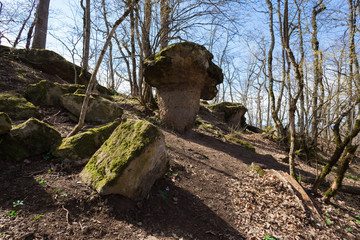 Stone mushrooms. Spring  landscape