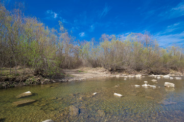 Obraz na płótnie Canvas Forest river. Spring landscape