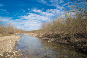Forest river. Spring  landscape