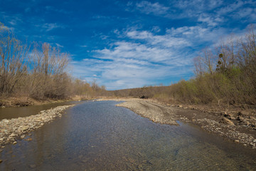 Forest river. Spring  landscape