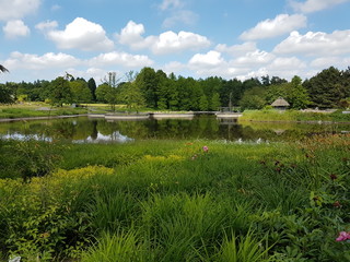 Fototapeta premium Hamburg Loki Schmidt Garten