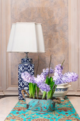 Hyacinth flowerpot on a living room table indoor decoration