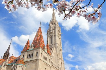 Budapest landmark Mathias church - spring time cherry blossoms