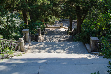 Scenic landscape steep descent on stone staircase in the park