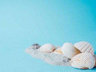 Obraz na płótnie Canvas sand and sea shells isolated on blue, summer concept