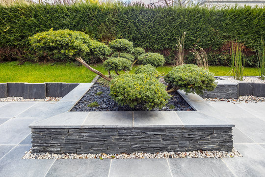 mur gris et jardin moderne