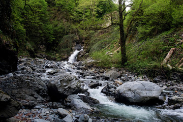 Naklejka na ściany i meble mountain river in Lagodekhi national park, Georgia