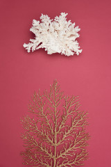  Beautiful white coral and golden tree on purple background. Top view.