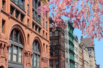 Soho, New York - spring time cherry blossoms - obrazy, fototapety, plakaty